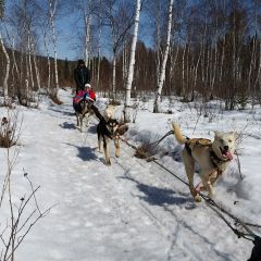 На снегоходах и  собачьих упряжках по Байкалу (фото 4)