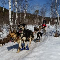 На снегоходах и  собачьих упряжках по Байкалу (фото 5)